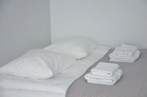 Vytautas Park Apartment with FREE Parking