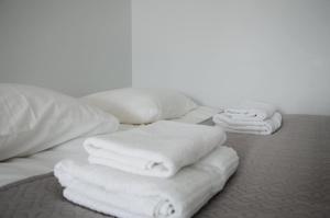 Vytautas Park Apartment with FREE Parking