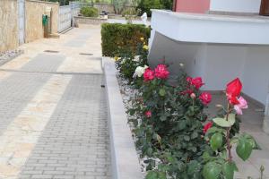 ΑΡΙΩΝ Village & Suites