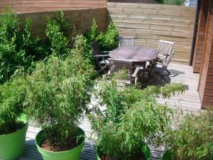 Maisons de vacances Villa Marylou : photos des chambres