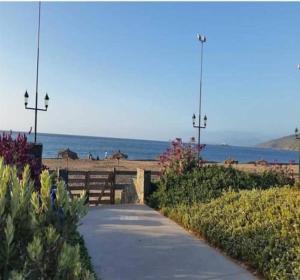 Papudo Laguna Albatros