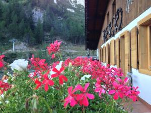 Rifugio Capanna Bill