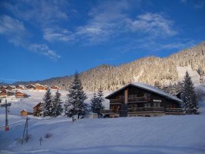 Appart'hotels Le Chalet de Bisanne : photos des chambres