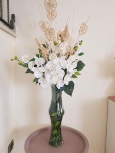 Grace dell'isola dei Coralli img161