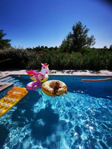 Maisons de vacances Magnifique gite en pierres 6 personnes avec piscine privee Ardeche plein sud : photos des chambres