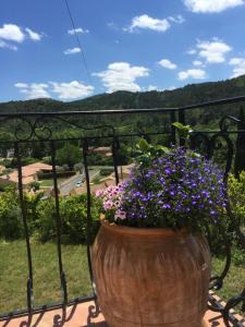 B&B / Chambres d'hotes Chez Montiz : photos des chambres