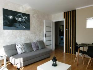 Apartament BB Czarny potok