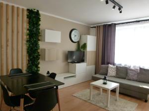 Apartament BB Czarny potok