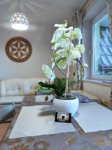 Apartamentylove - Apartament Oliwia