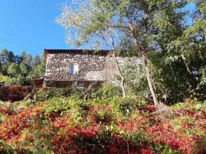 Maisons d'hotes L'EMBELLIE : photos des chambres