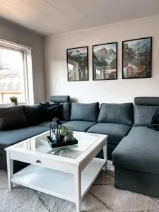 Apartment with 2bedrooms near the train and buss station - Vansjø