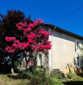 Maisons de vacances L'Echappee du Merlou : photos des chambres