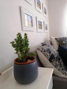 Sterrenhemel Guest Farm