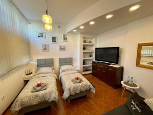 Apartament Gryf