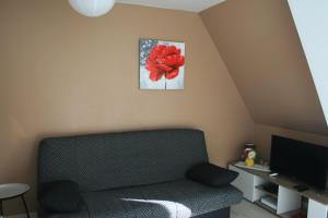 Appartements studio9 : photos des chambres