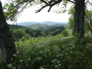 Altes Forsthaus Fischbach