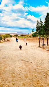 Laasteskof - The end of the road