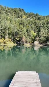 Maisons de vacances Belle maison Vue imprenable lac de Serre-Poncon : photos des chambres