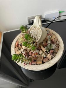 Departamento con increíble vista a Viña del Mar