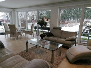 Froschkönig mit Teichblick