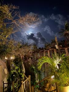 Cozy room near the beach, party zone