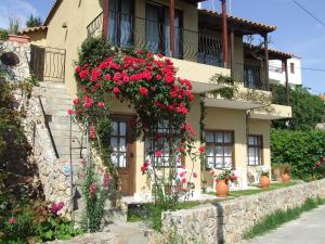 Dawn's Rooms Alonissos Greece