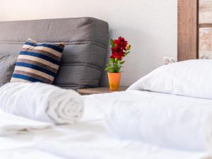 651 Bright establishment, heated pool and Wi Fi