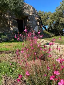 Il Nuraghe del lago Coghinas img56