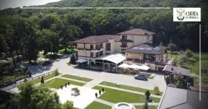 Curtea Domneasca - Bacău