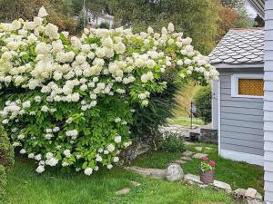 Holiday home Utvik II