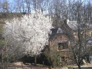 grange rénovée en pleine nature - Clairvaux-dʼAveyron