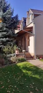 Kenguru Panzió - بيكيسزينتاندراس