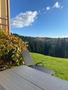 Apartament w górach Gorce - Gazdy