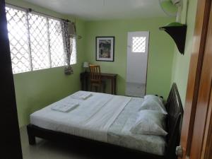 Sea Turtle House Moalboal