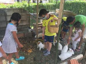 Club campestre el Peñón de Apulo