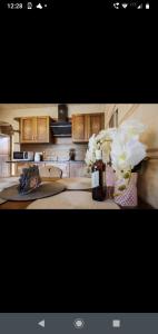 Domki Dream House Resort 606-436-626