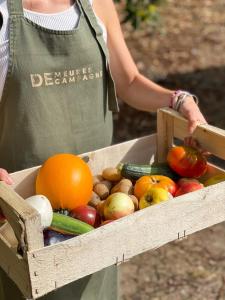 Hotels Demeures de Campagne Chemins de Sologne a Orleans : photos des chambres