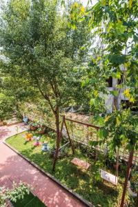 Airi Villas Ba Vì Venue Travel