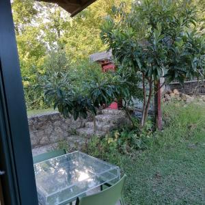 Studio with Garden View