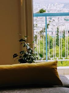 Park at Home Apartment