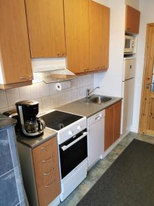 Luulampi - Studio in the center of Saariselkä