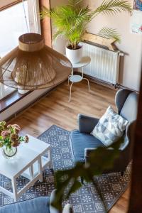 Mėlynojo karpio namas