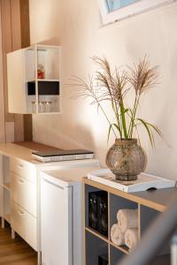 MĖLYNOJO KARPIO PIRTIES NAMAS