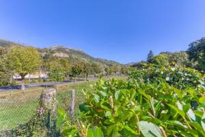 Appartements Le Bas Mont-Dore : photos des chambres