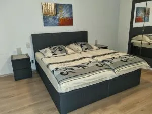 Fiona - 坎德尔恩