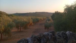 casa hobbit Puente Genil