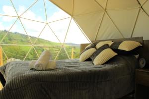 Glamping Caliza La Calera