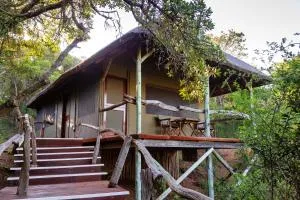 Lalibela Game Reserve Tree Tops Safari Lodge - Kwantu Private Game Reserve