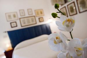 Il Glicine sul Golfo