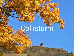 Haus Marientaler Au GbR